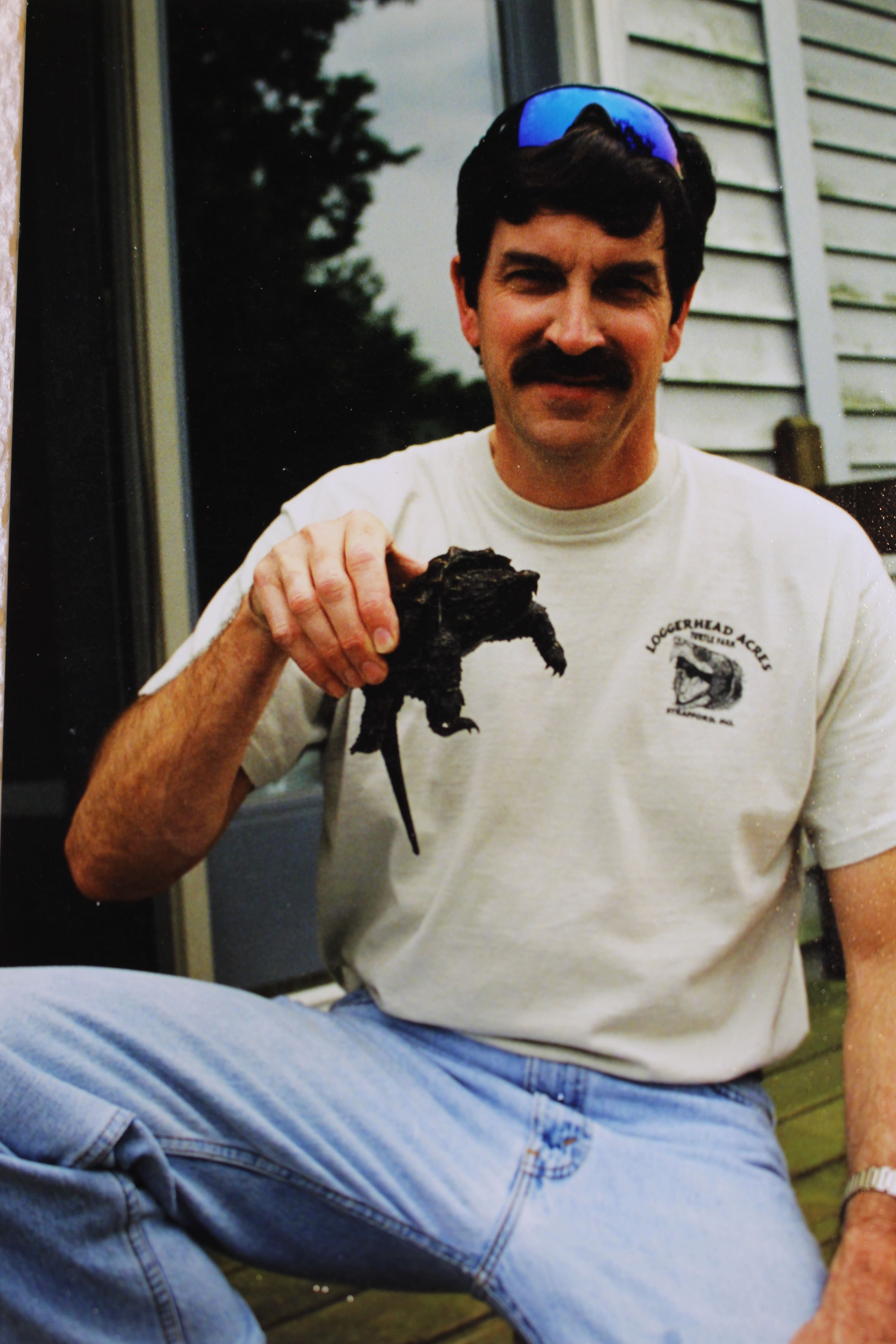 alligator snapping turtle picture