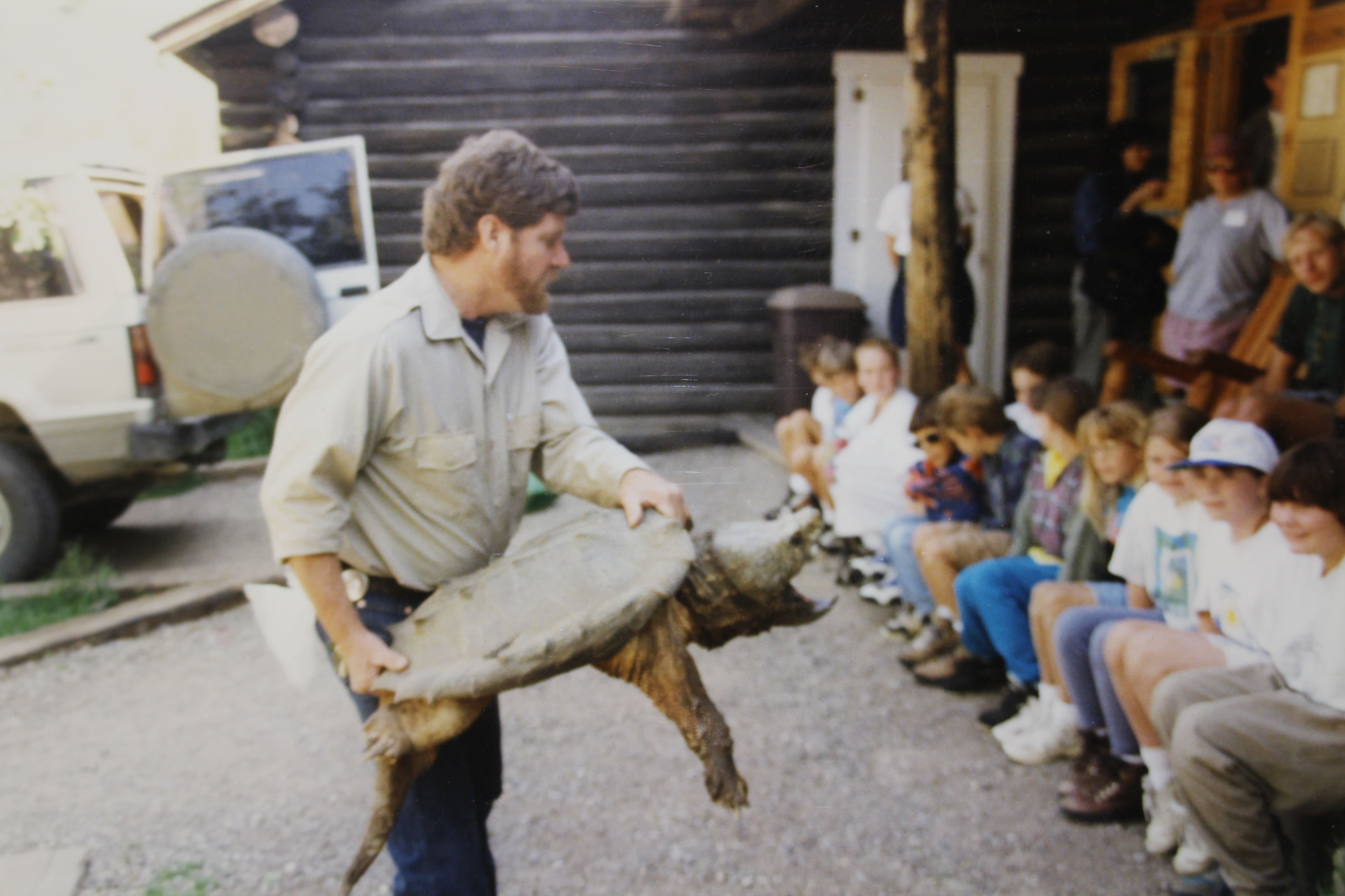 alligator snapping turtle picture