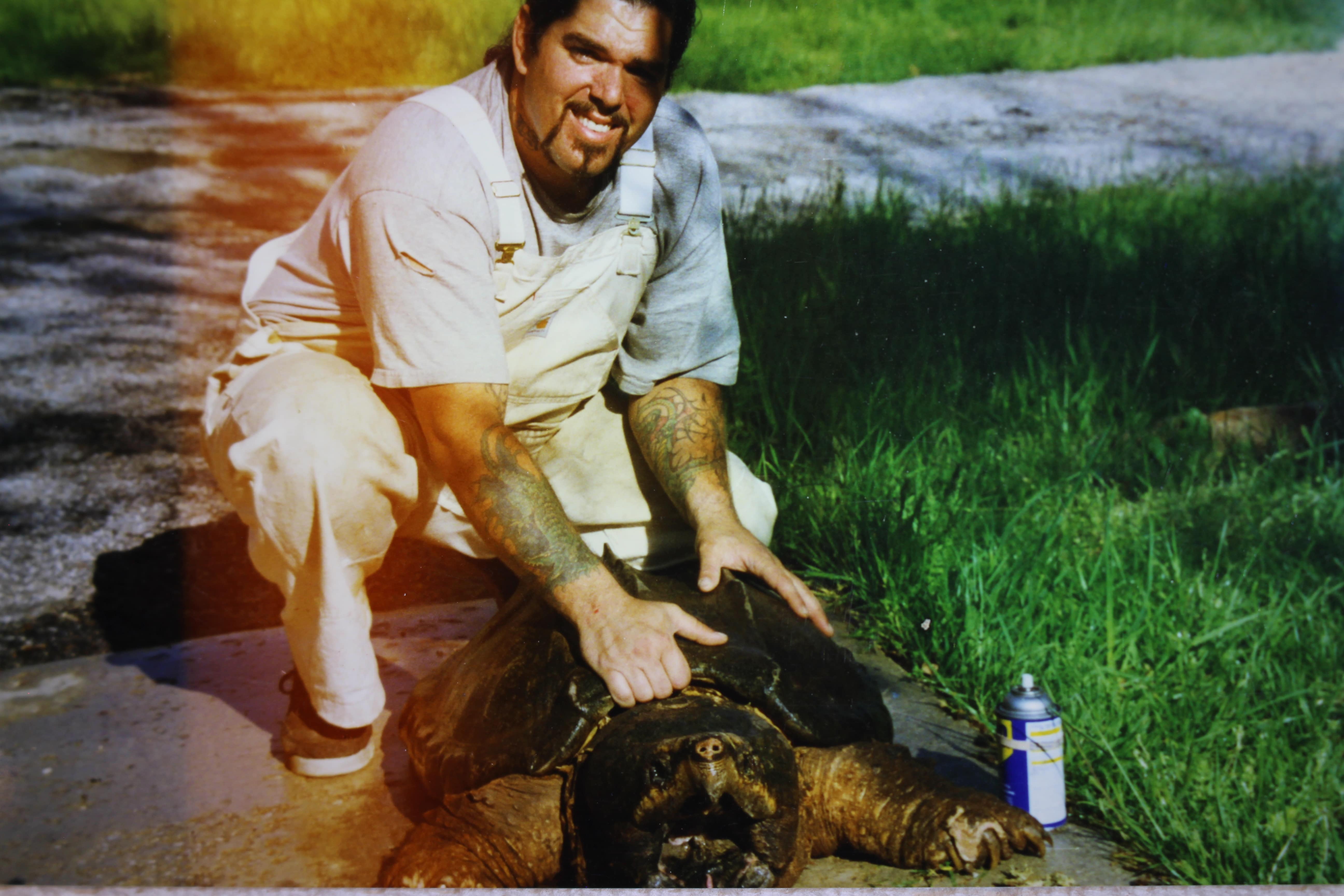 alligator snapping turtle picture