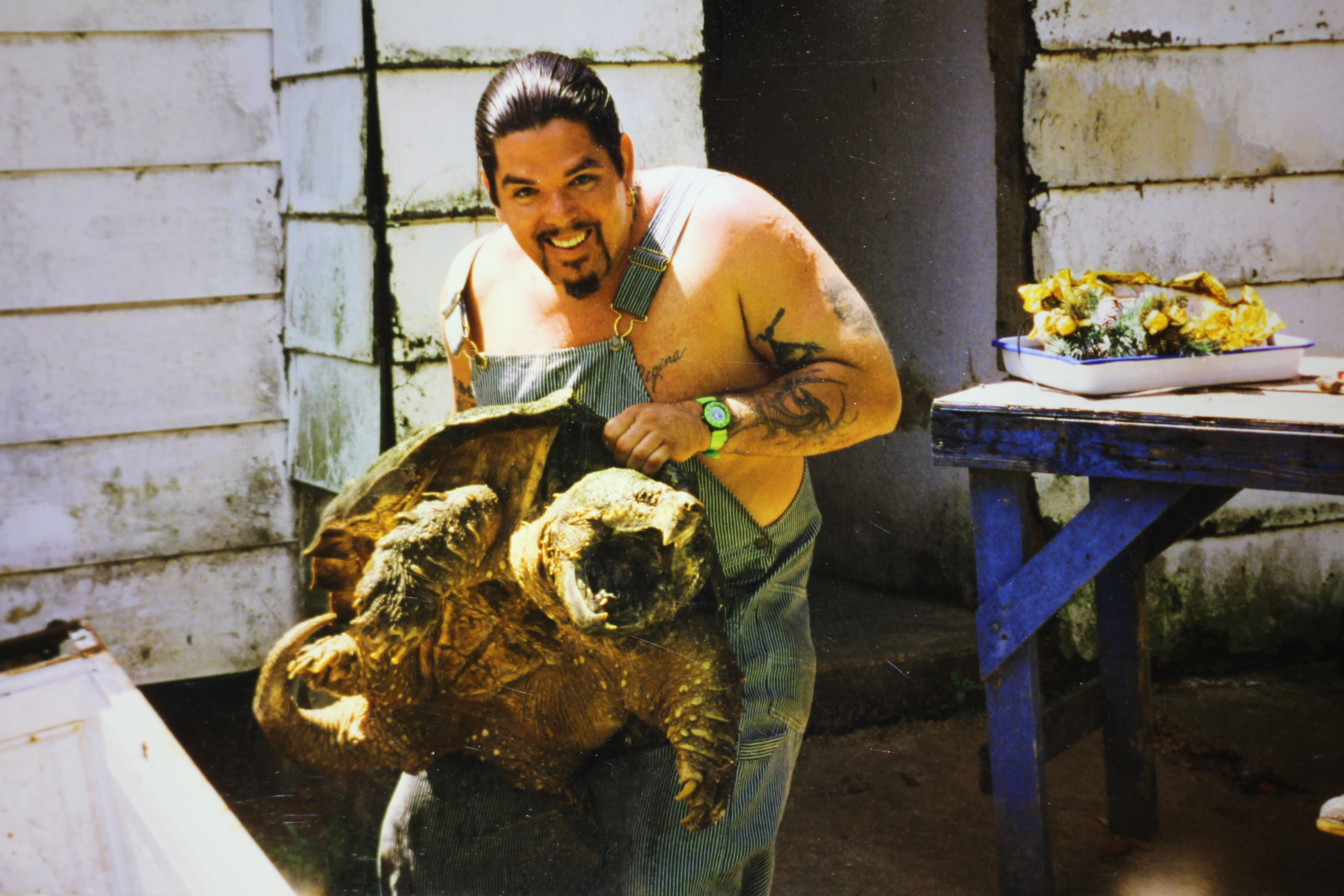 alligator snapping turtle picture