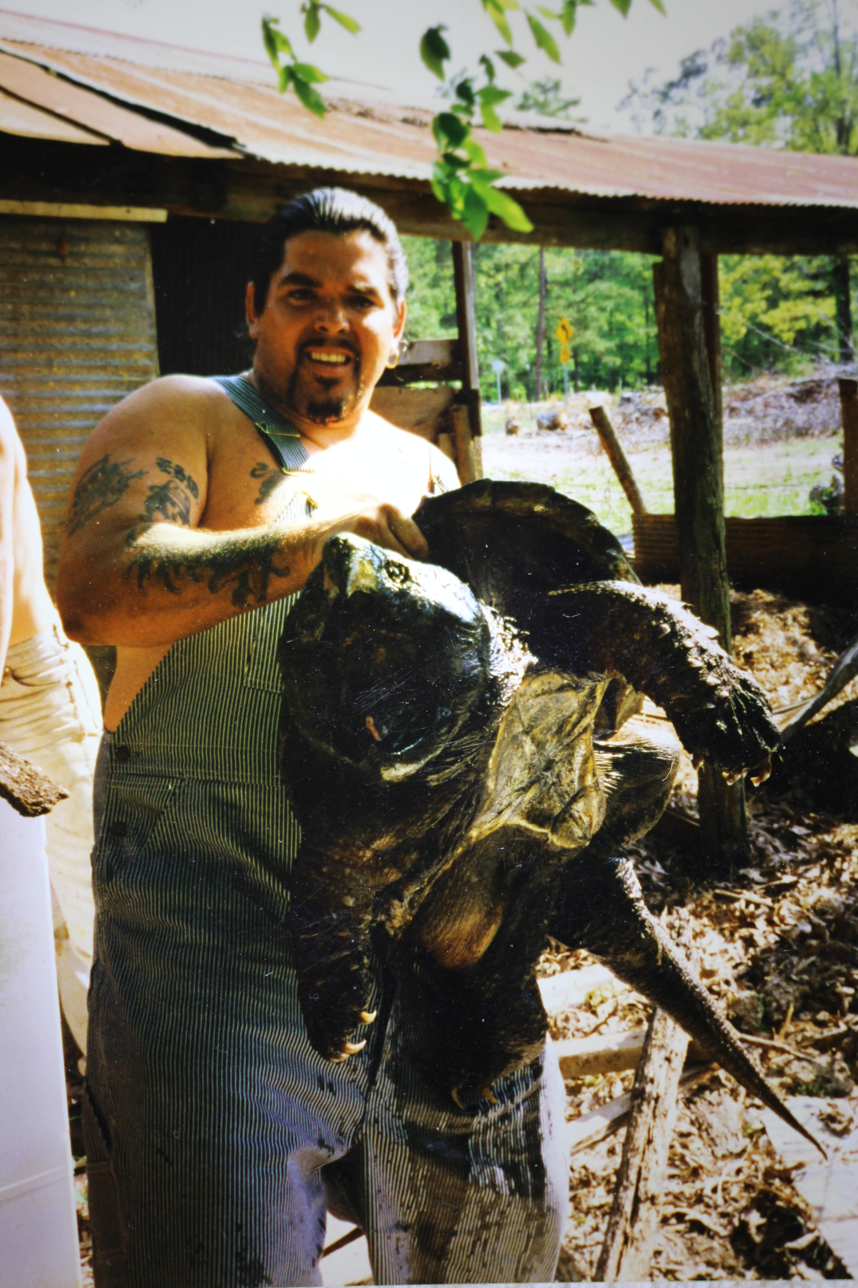 alligator snapping turtle picture