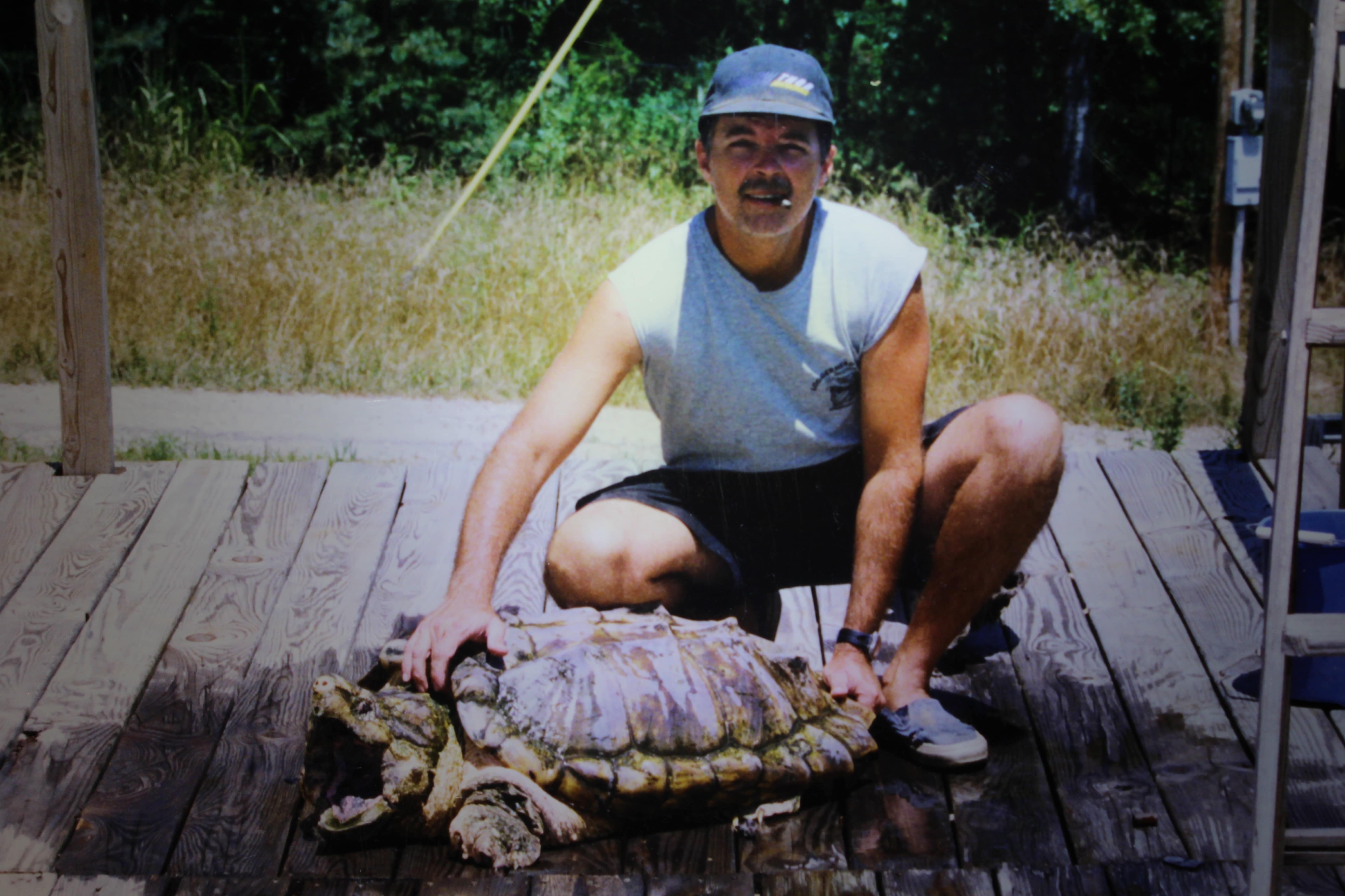 alligator snapping turtle picture