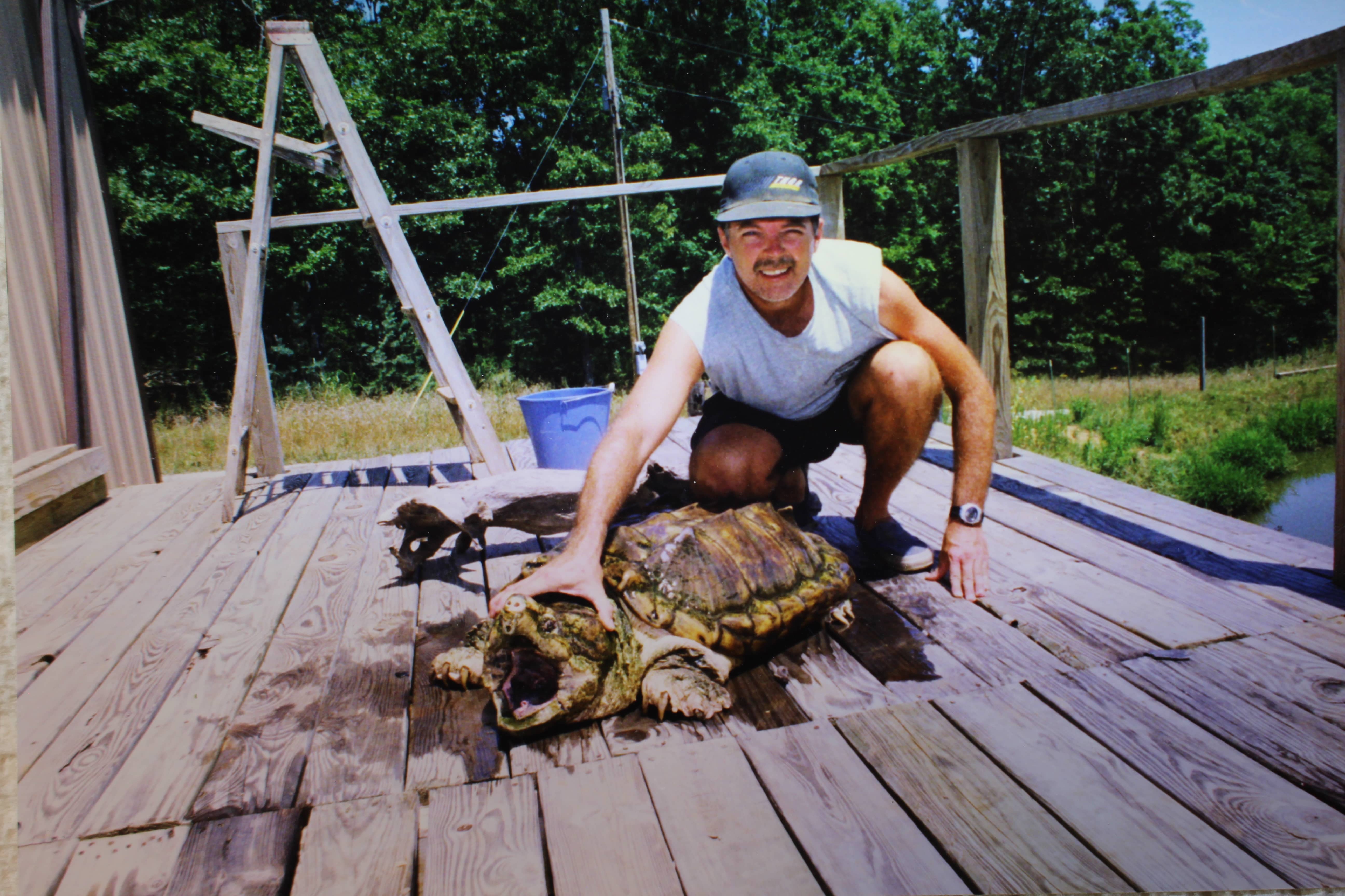 alligator snapping turtle picture