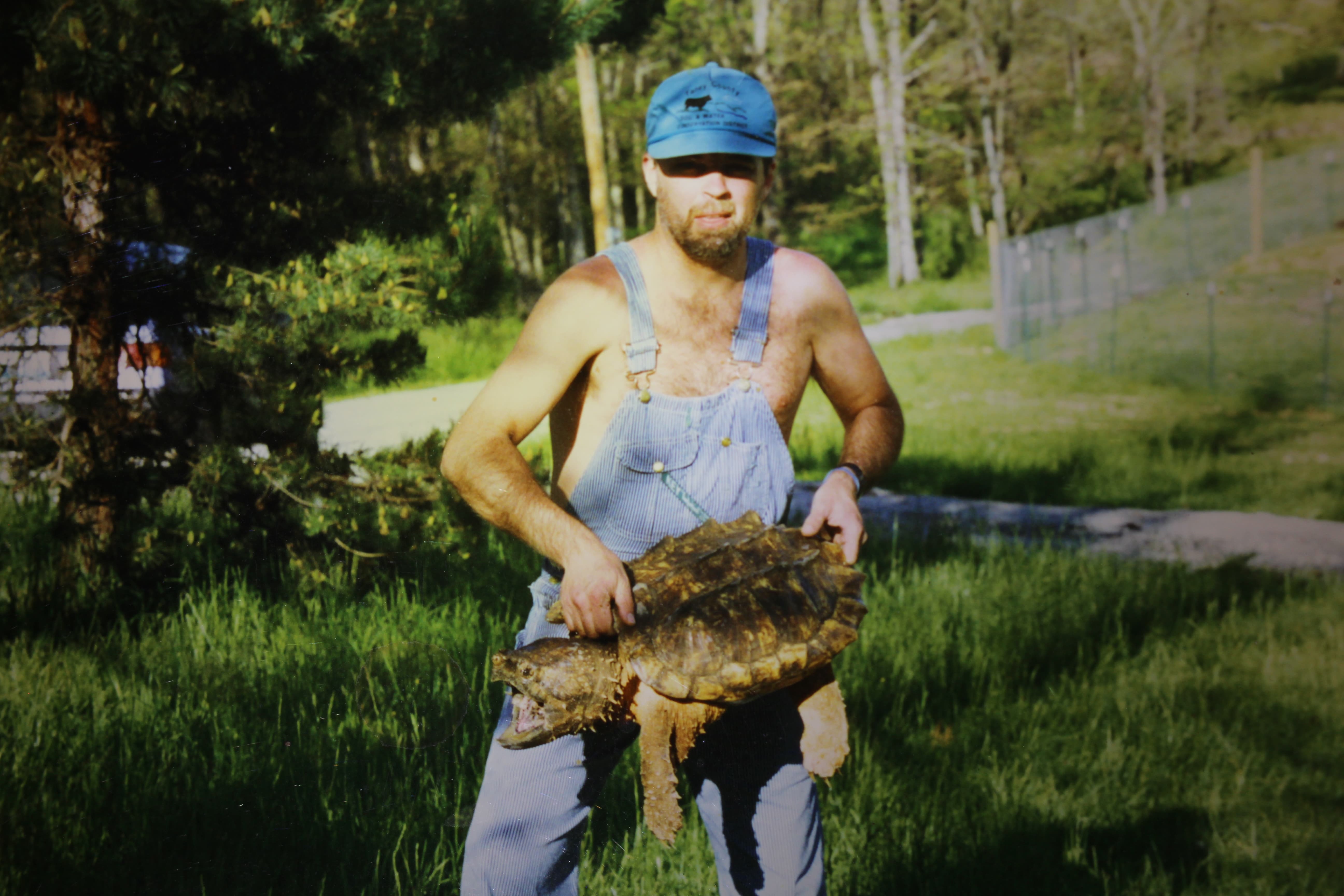 alligator snapping turtle picture