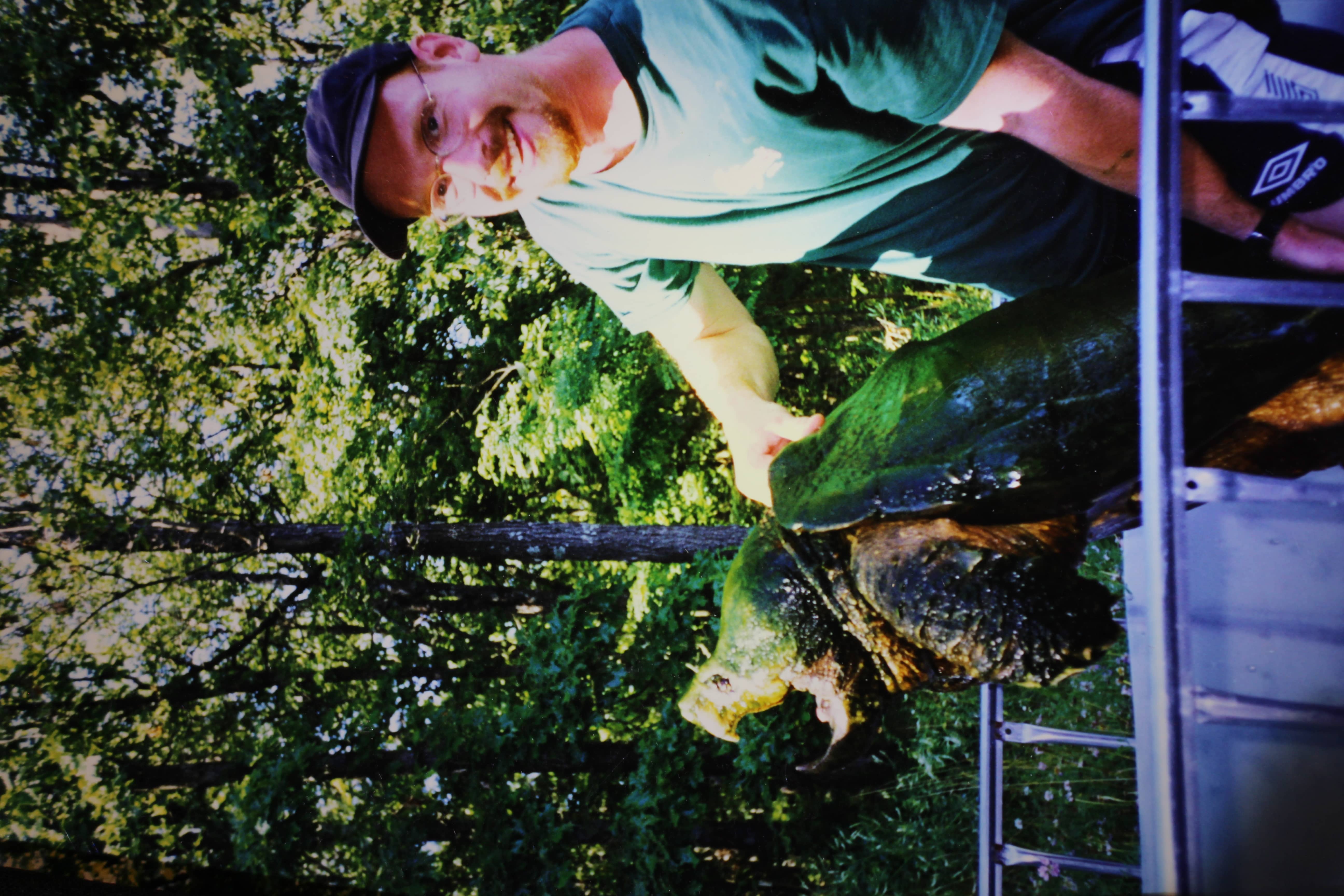 alligator snapping turtle picture
