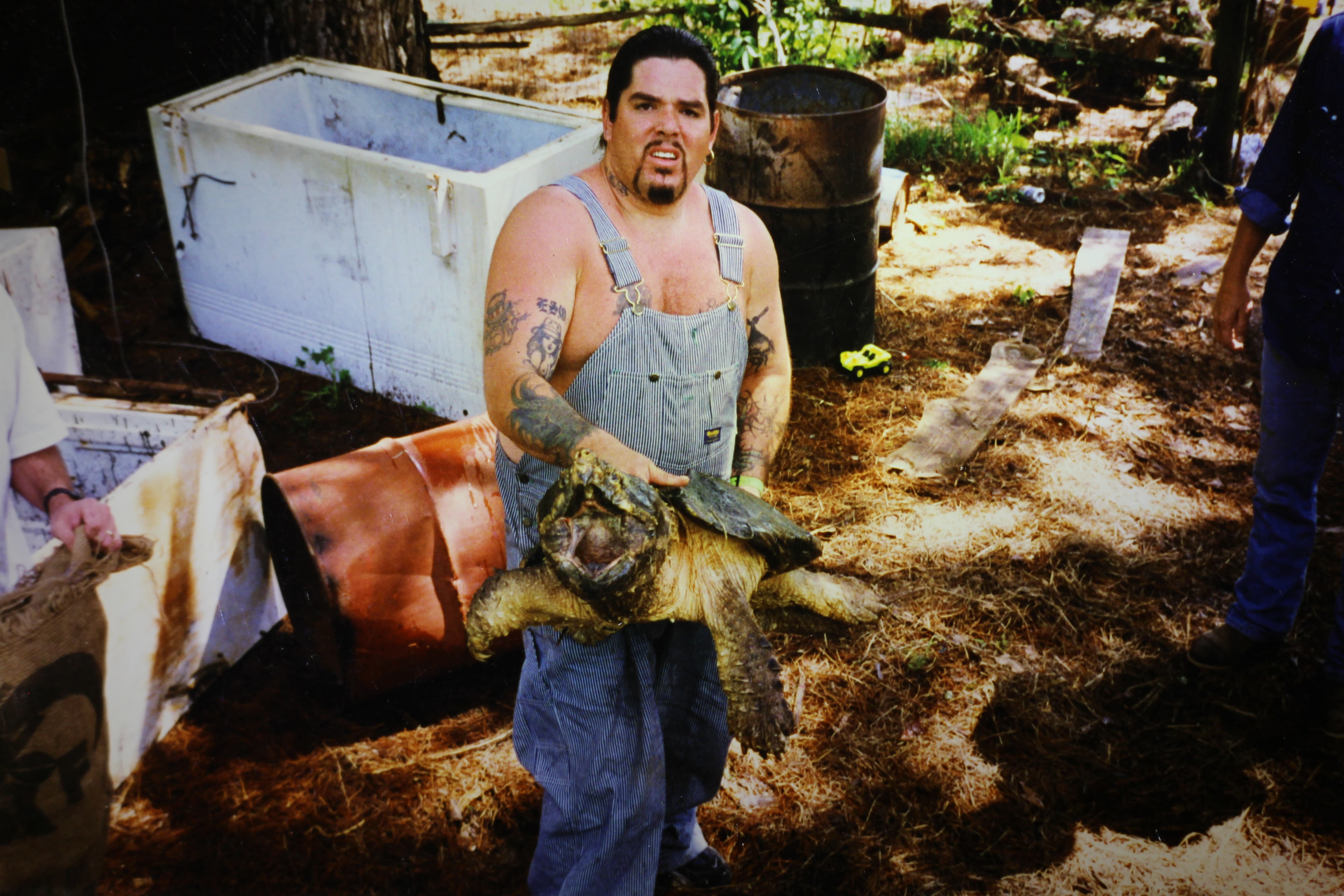 alligator snapping turtle picture