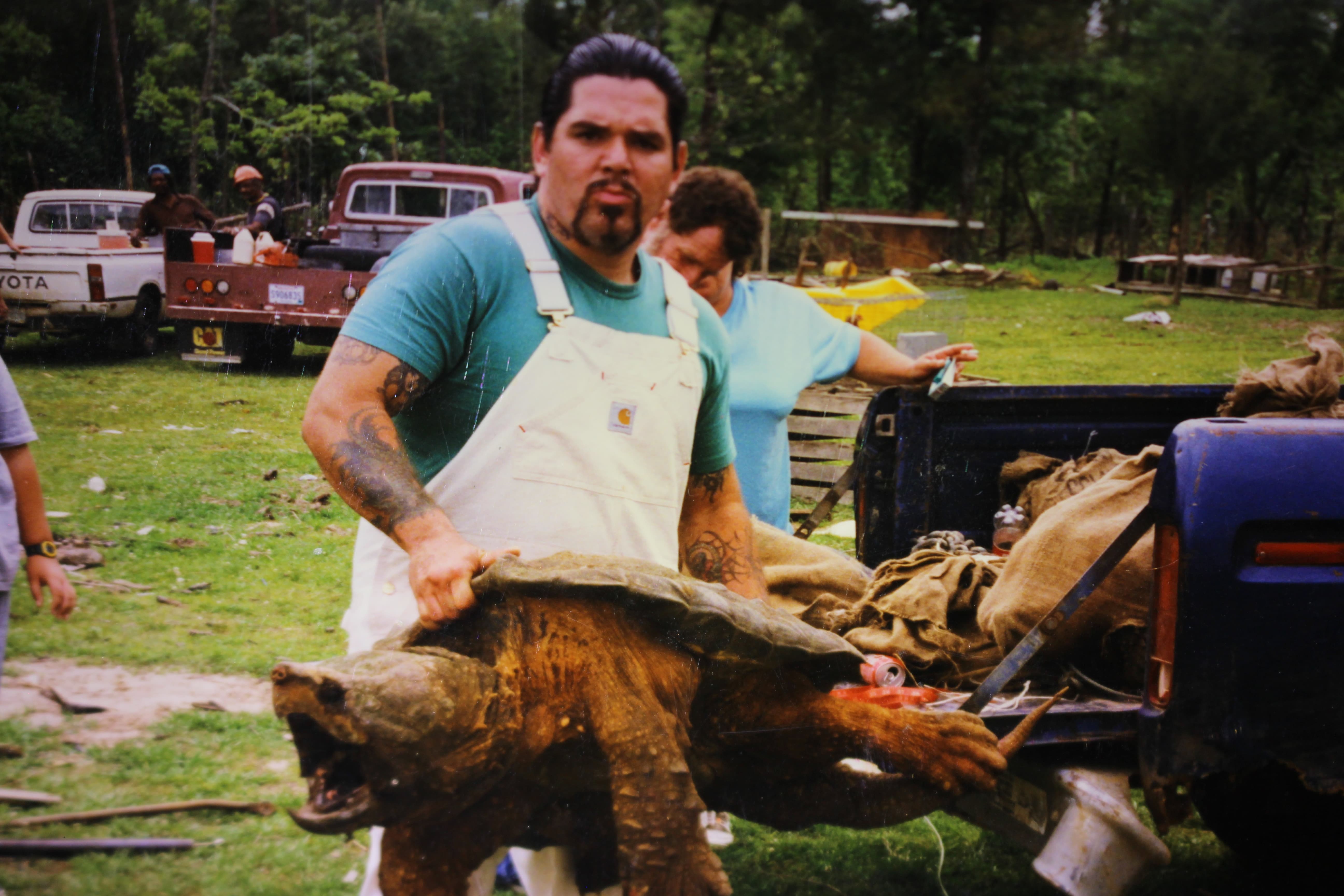 alligator snapping turtle picture