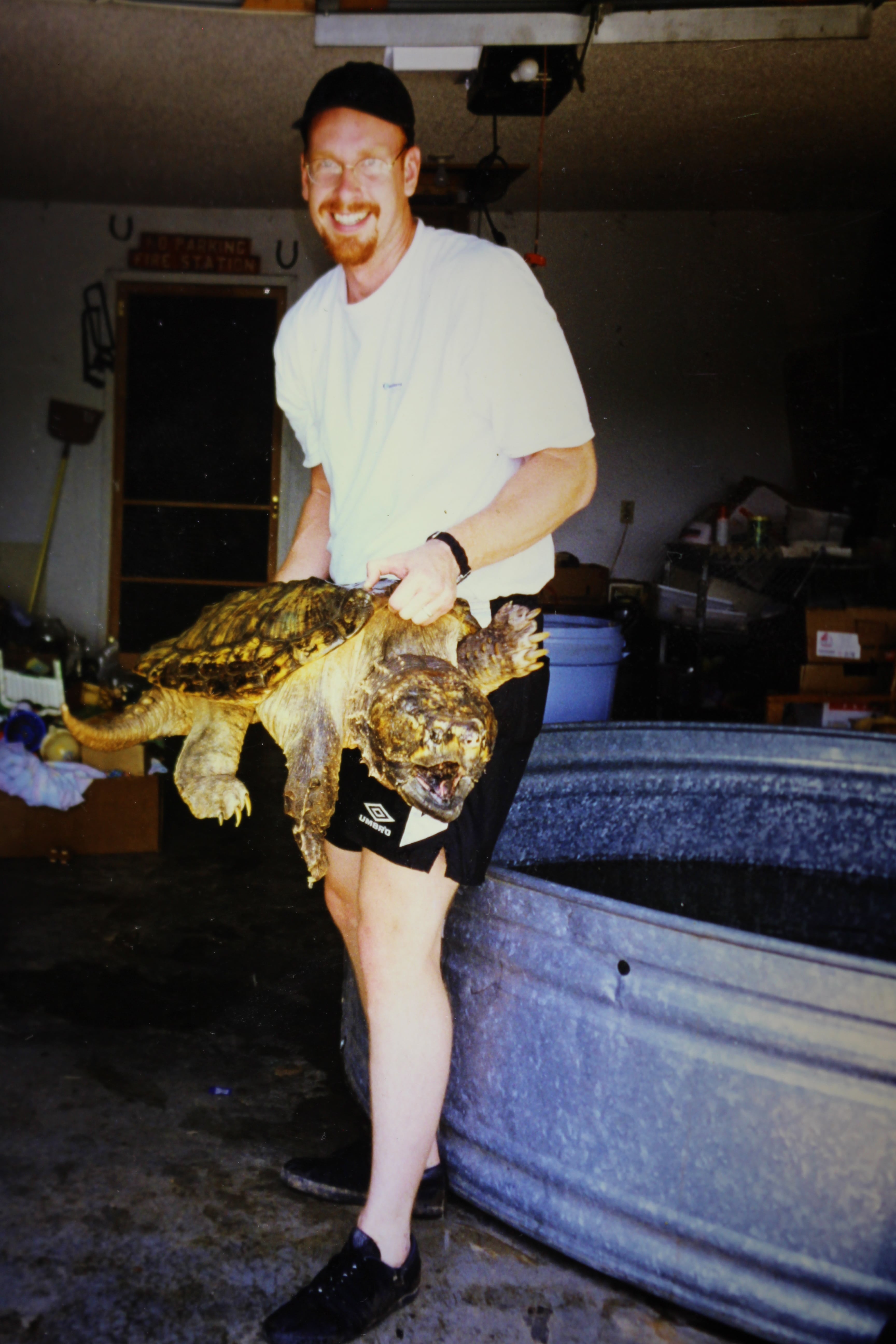 alligator snapping turtle picture