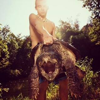 alligator snapping turtle picture